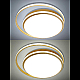 Потолочная люстра Natali Kovaltseva LED LAMPS 81315