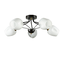 Потолочная люстра ARTE Lamp A2706PL-5CK