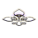 Потолочная светодиодная люстра Ambrella light Acrylica Ice FA2835