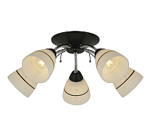 Потолочная люстра Toplight Winnifred TL1255D-05BC