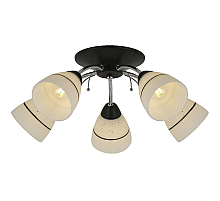 Потолочная люстра Toplight Winnifred TL1255D-05BC