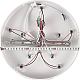 Потолочная люстра Natali Kovaltseva Core LED LAMPS 81120/5C