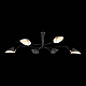 Потолочная люстра ST Luce Spruzzo SL305.402.06