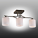 Потолочная люстра Omnilux Pisticci OML-55317-03