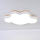 Потолочная люстра ImperiumLoft Cloud Eco 189502-26
