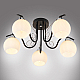 Потолочная люстра MyFar Daniella MR1570-5C