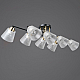 Люстра Illumico IL0845-8CSQ-25BKAB ELITE