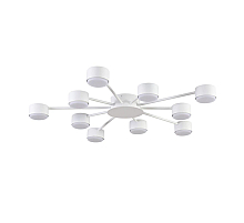 Потолочная люстра Lumion Comfi Torina 8343/10C