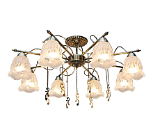 Потолочная люстра Toplight Delia TL1195X-08AB