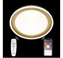 Потолочная люстра Natali Kovaltseva LED LAMPS 81301