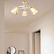 Потолочная люстра Arte Milano Amalfi 323006/3 FG+WT