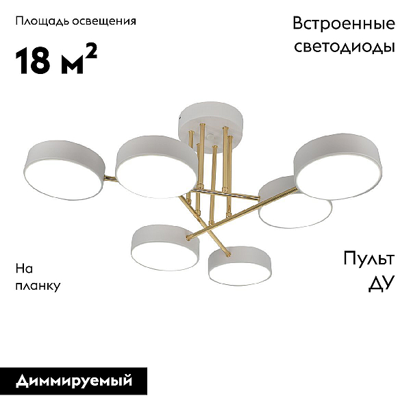Потолочная светодиодная люстра Escada Rune 10262/6LED