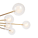 Потолочная люстра Freya Celebrity FR5242CL-16BS1