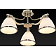 Потолочная люстра Toplight Sheena TL3670X-03AB