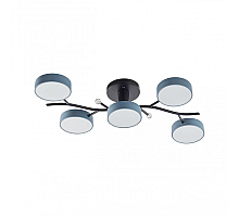 Потолочная люстра Arte Milano Ferrara 256606/5 Bk/Gr