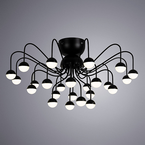 Накладная люстра ARTE Lamp A3619PL-24BK
