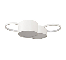 Потолочная люстра Loft IT Pin 10317/4 White
