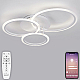 Потолочная люстра Natali Kovaltseva PURE LED LAMPS 81175