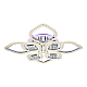 Потолочная светодиодная люстра Ambrella light Ice FA283