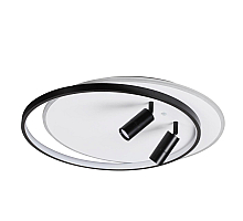 Потолочная люстра Lumion Naoko 5603/75CL