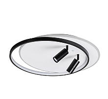 Потолочная люстра Lumion Naoko 5603/75CL