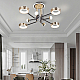 Потолочная люстра Arte Milano Ferrara 273210/8 BK/GD