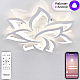 Потолочная люстра Natali Kovaltseva Olimp LED SMART 84005