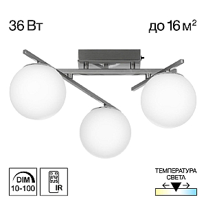 Потолочная люстра Citilux Dorsy CL223131