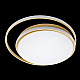 Потолочная люстра Natali Kovaltseva LED LAMPS 81315