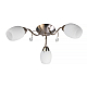 Потолочная люстра Toplight Paula TL3550X-03SN