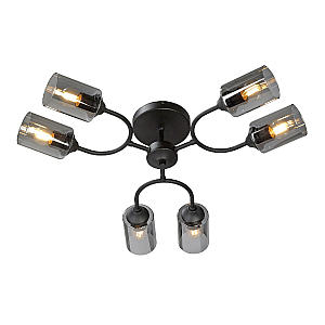 Потолочная люстра Vitaluce V2823-1/6PL
