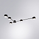 Потолочные люстры Arte Lamp Tracy A1527PL-5BK