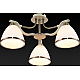 Потолочная люстра Toplight Sheena TL3670X-03AB