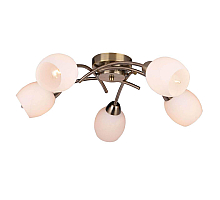 Потолочная люстра Toplight Merry TL3780X-05AB