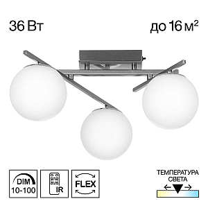 Потолочная люстра Citilux Dorsy CL223131