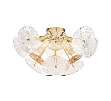Потолочная люстра Freya Brillia FR5274CL-06G