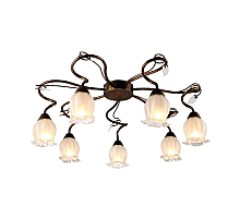 Потолочная люстра Arte Lamp 83 A7449PL-7BR