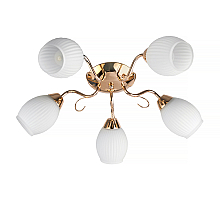 Потолочная люстра Toplight Kristin TL3520X-05FG