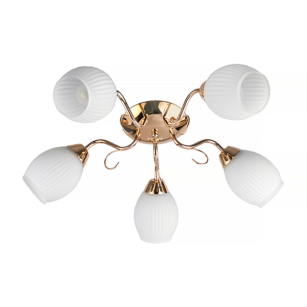 Потолочная люстра Toplight Kristin TL3520X-05FG
