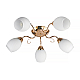 Потолочная люстра Toplight Kristin TL3520X-05FG