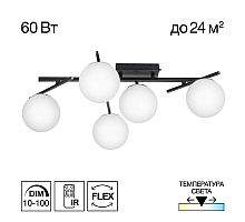 Потолочная люстра Citilux Dorsy CL223152