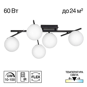 Потолочная люстра Citilux Dorsy CL223152