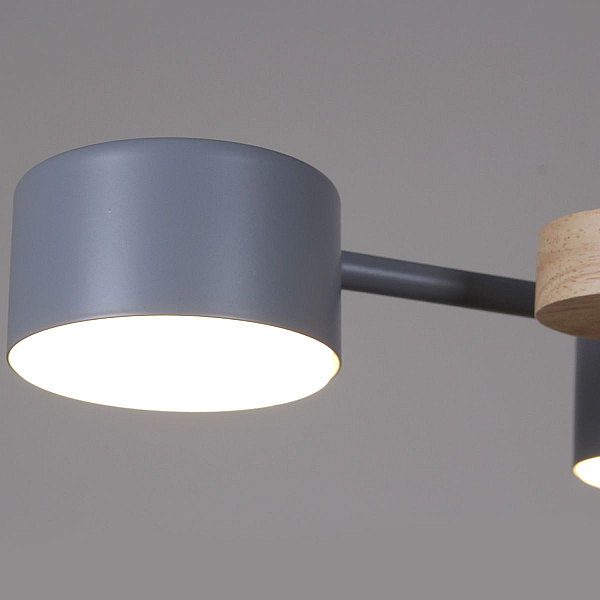 Потолочная люстра Reluce 03758-0.3-10 GREY+WOOD GX53
