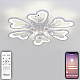 Потолочная светодиодная люстра Natali Kovaltseva Hugo LED LAMPS 81240