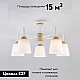 Потолочная люстра Eurosvet Fresco 70085/5 белый