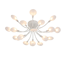 Потолочная люстра F-Promo Skein 4198-20C