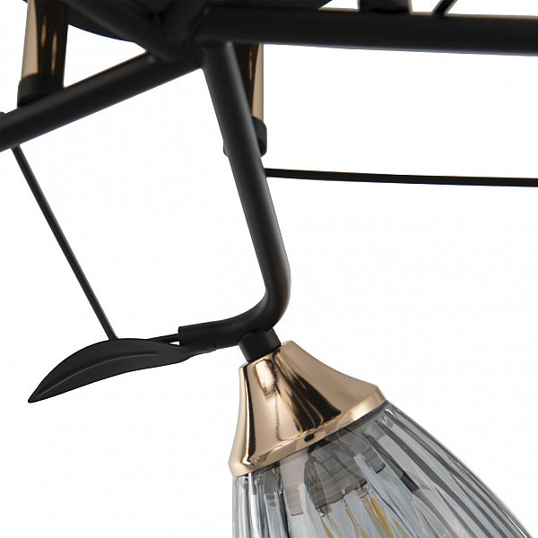 Потолочная люстра Arte Milano Amalfi 322610/5 BK+FG