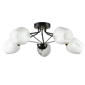 Потолочная люстра ARTE Lamp A2706PL-5CK