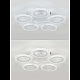 Потолочная люстра Natali Kovaltseva Simply LED LAMPS 81122/5C
