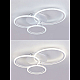 Потолочная люстра Natali Kovaltseva PURE LED LAMPS 81175